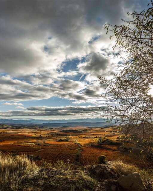 With autumn hues you can’t help but fall for, even a cloudy day is a welcome sight in Rioja Alavesa.