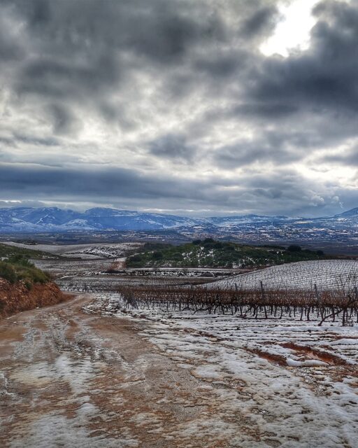 Visit a stunning winter wonderland of wine. Experience the best kind of chills you can feel this season in Rioja, Spain.