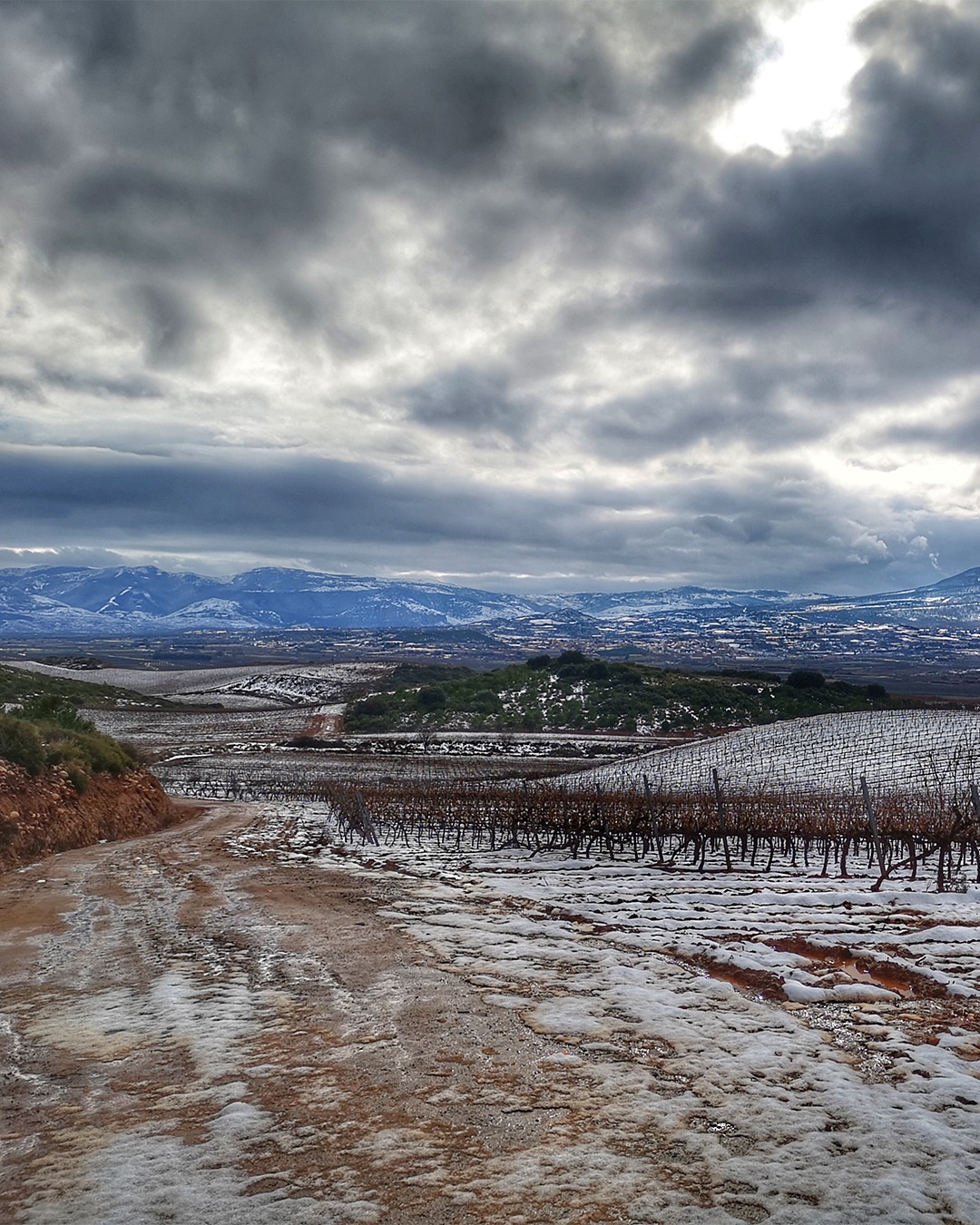 Visit a stunning winter wonderland of wine. Experience the best kind of chills you can feel this season in Rioja, Spain.