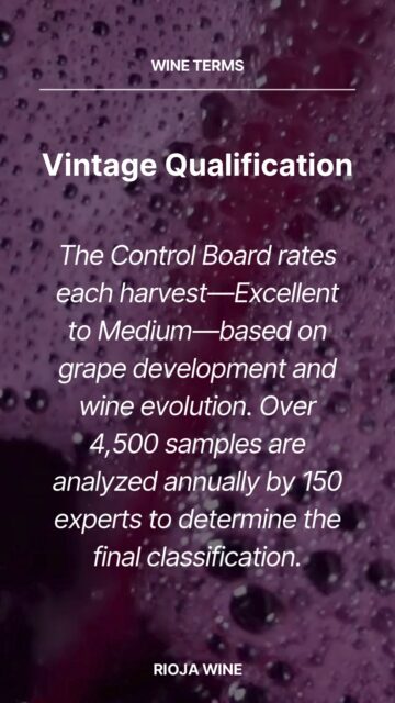 Our finer attention to detail for fine-wine aging. Rioja’s Control Board carefully categorizes every vintage, classifying them by how well they’ve aged.