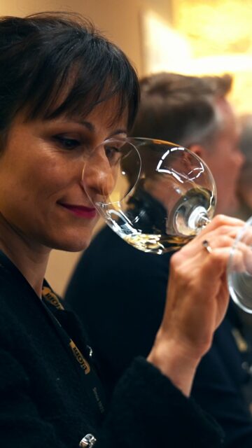 The Rioja Centennial Celebration begins! 🍷✨

We are officially kicking off the Rioja Centennial Celebration. We’ve gathered 70 of the world’s top wine experts and influencers—60 international and 10 national—right here in our homeland to share in this once-in-a-lifetime experience.

The journey began last night in Logroño with a welcome dinner at the iconic Taberna Herrerías. Surrounded by the flavors of traditional Riojan cuisine and a wine bar showcasing the incredible diversity of our region, we raised a glass to our past, our present, and everything yet to come.

And this is only the beginning. 

#RiojaCentennial