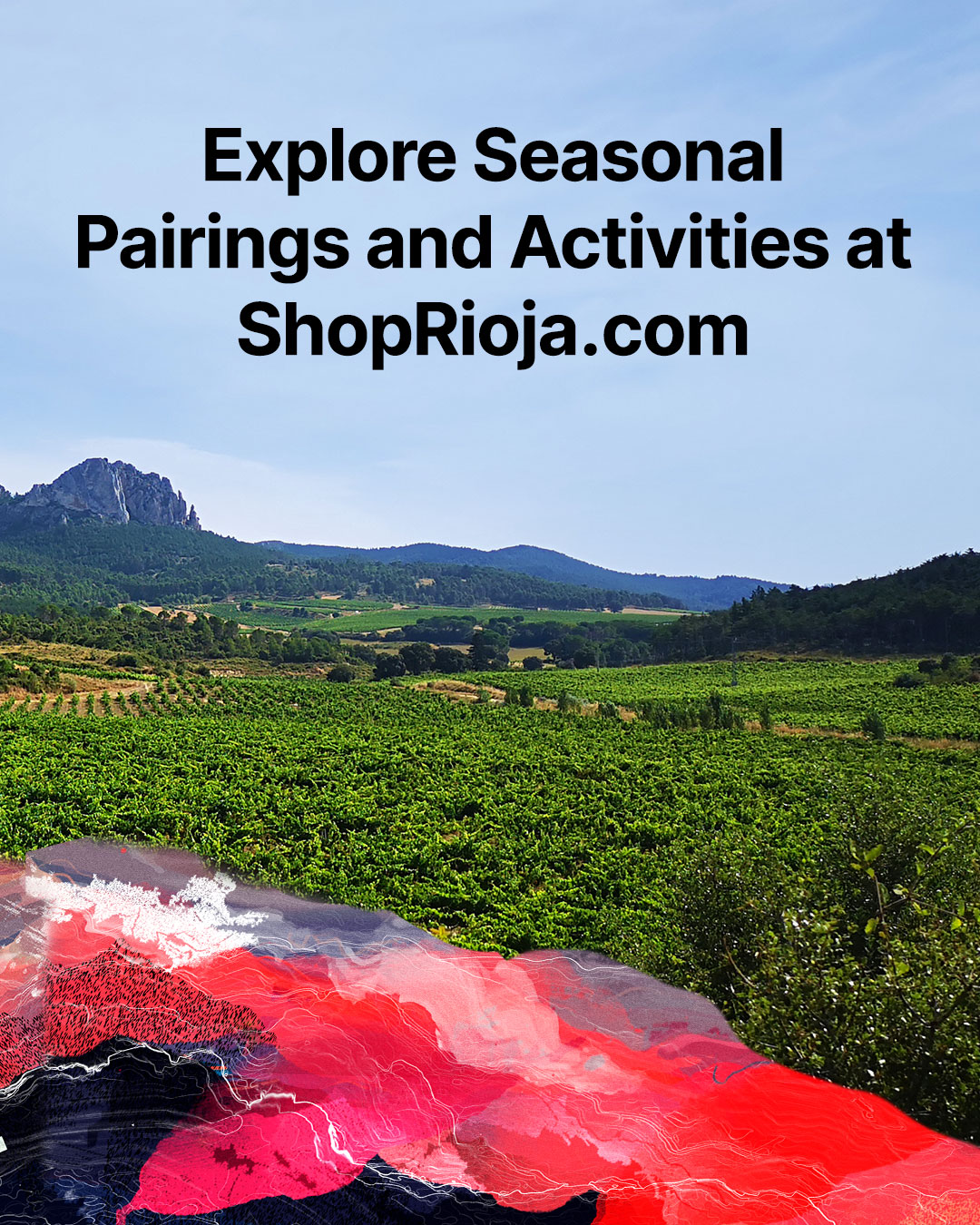 Make your spring as sunny as possible with activities and wine pairings that fit the season.

Find them in our new list of Seasonal Pairings, using the link in our bio.