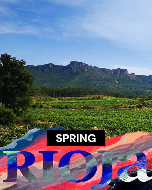 Soak up the beauty of spring with wine pairings and activities that go hand in hand with the season. 

Find them in our new list of Seasonal Pairings, using the link in our bio.