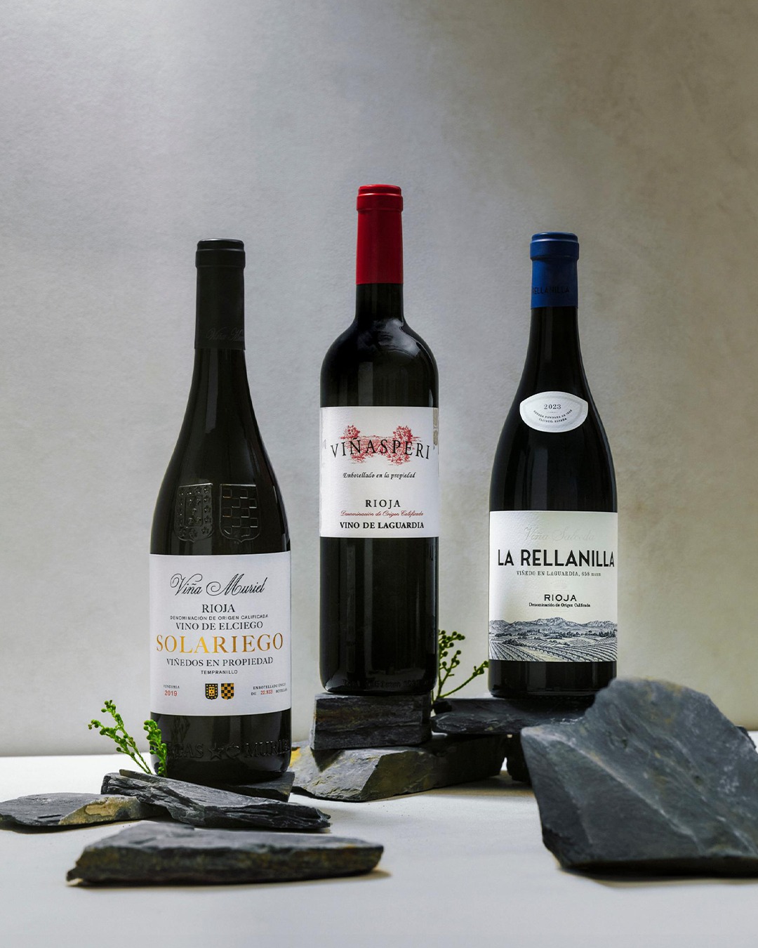 Neighboring towns, with wines that are worlds apart. It takes just a few miles to find vastly different soils in Rioja. Explore the difference of distance at our link in bio.