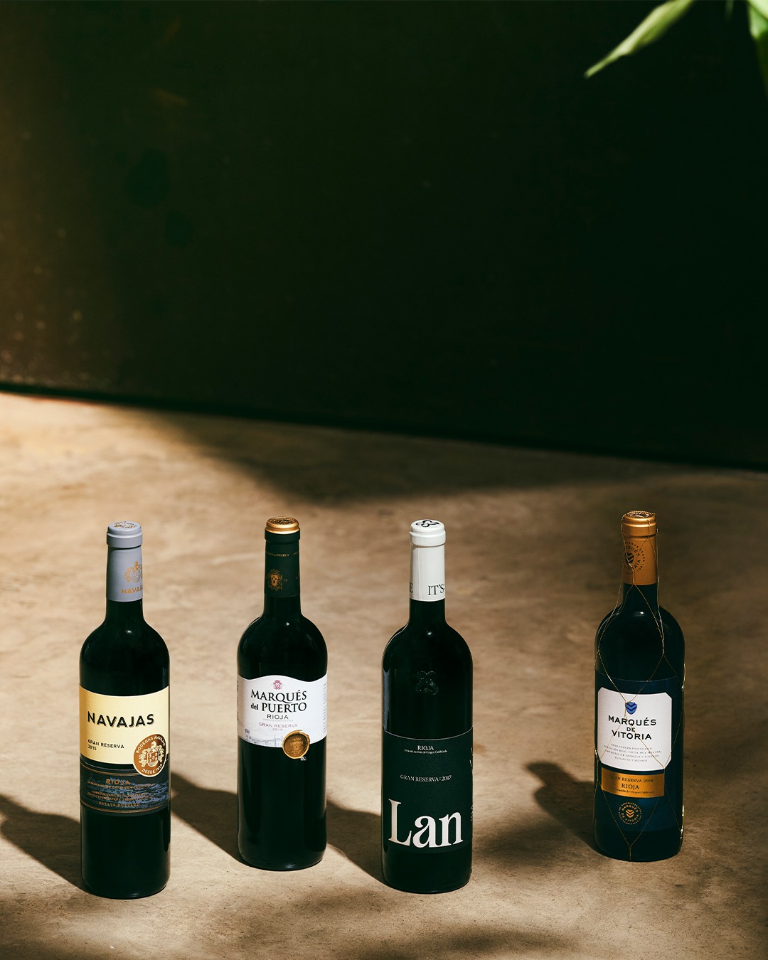 When aged red wine was still in its infancy, Rioja was there to help define its identity. Aged for at least 5 years, Rioja Gran Reservas are proof that patience pays off.