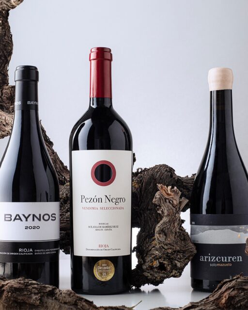 Branching out with a lighter touch of oak. Discover the innovative Rioja reds of Baynos, Pezón Negro, and Arizcuren, where ripe fruit and earthy flavors take center stage.