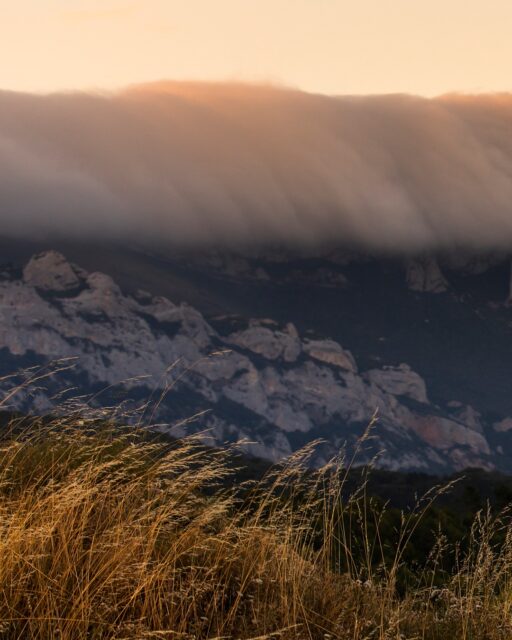Shelter at its peak. Blocking out much of the Atlantic’s cool, wet influence, Sierra de Cantabria helps Rioja Alavesa’s vineyards maintain their own distinct microclimates, resulting in equally unique wines.