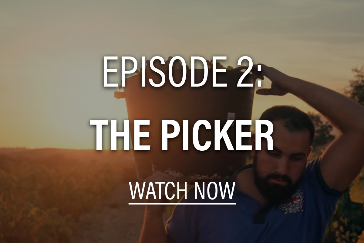 episode 2: the picker