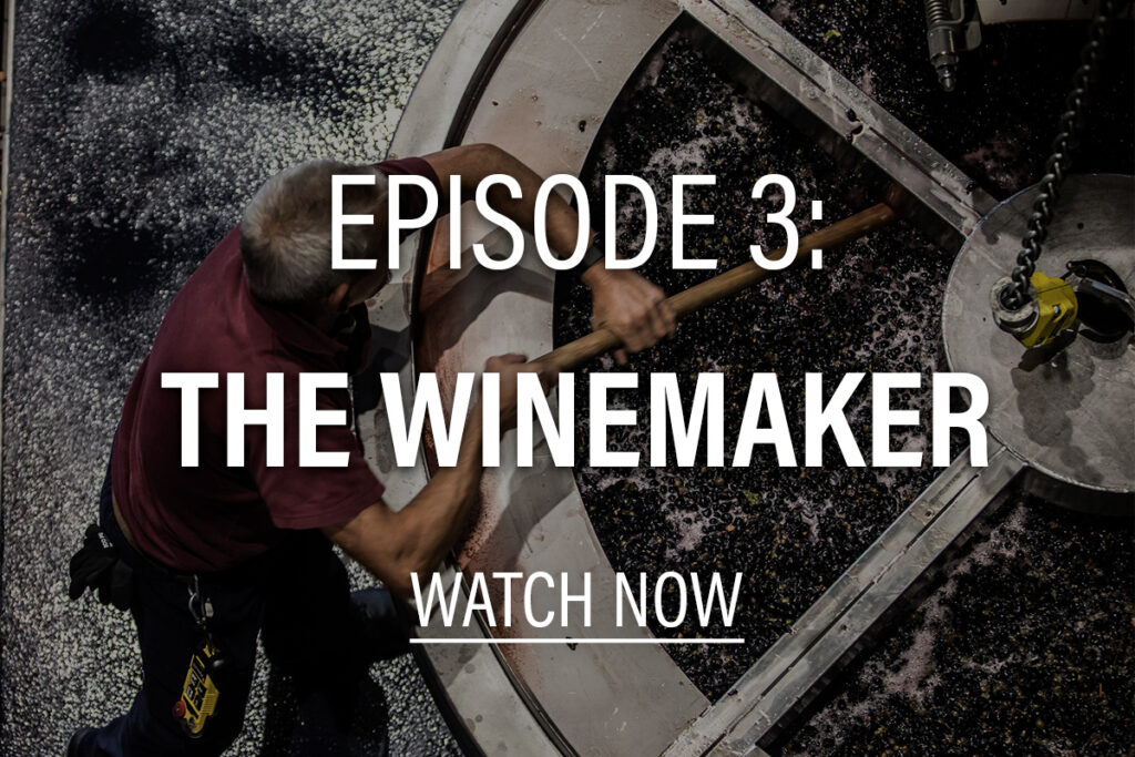 episode 3: the winemaker