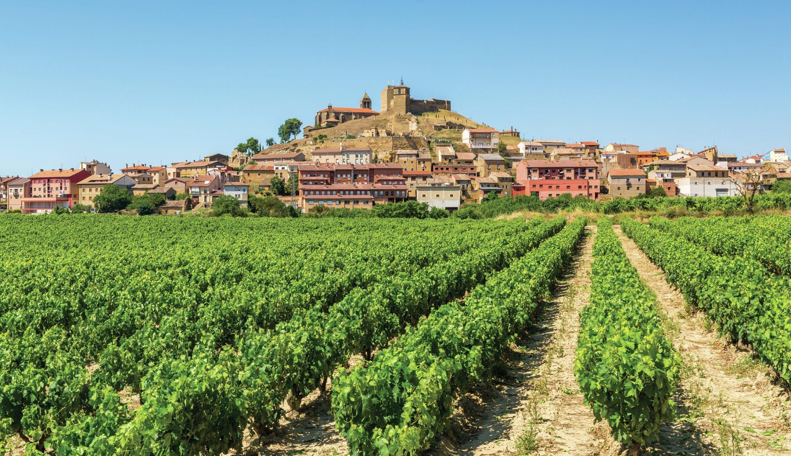 Rioja Masters 2023: Exploring the Delightful World of Rioja Wines