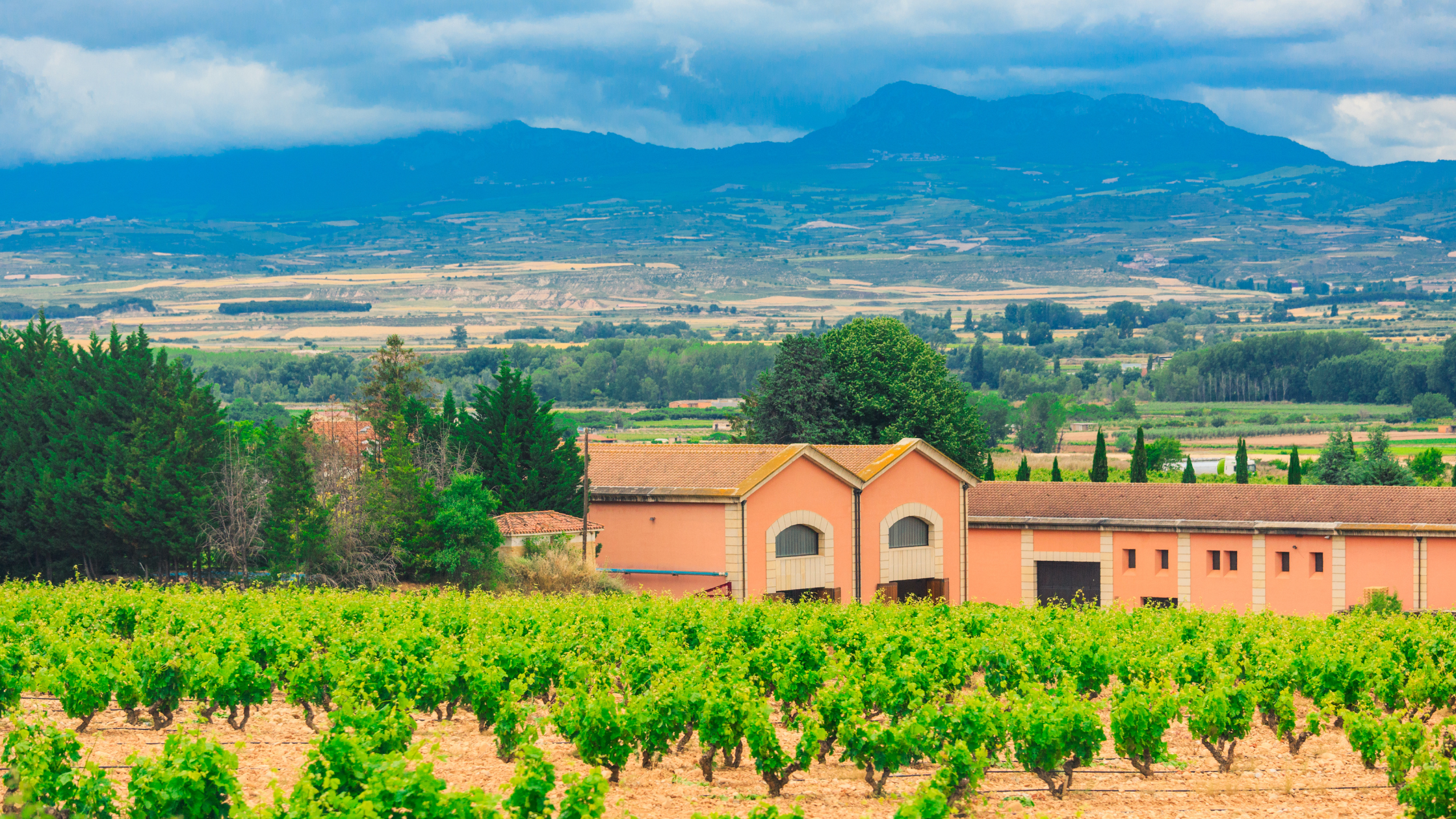 Vogue Highlights Rioja: A Treasure Trove for Wine Enthusiasts