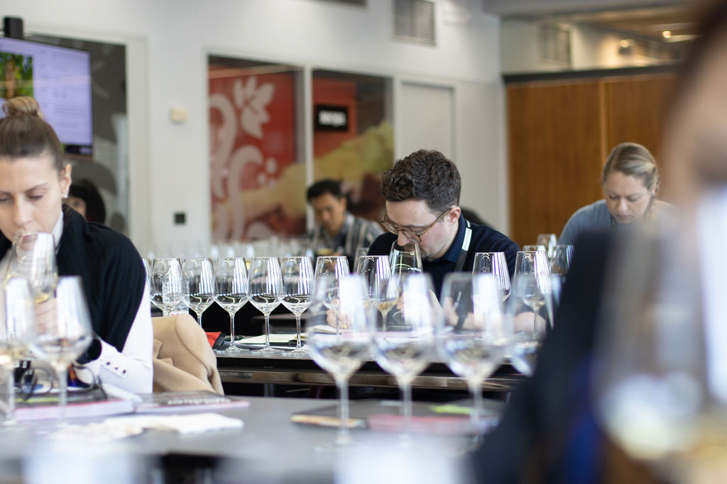 Rioja Camp Provides an Exciting Learning Opportunity for Wine Lovers