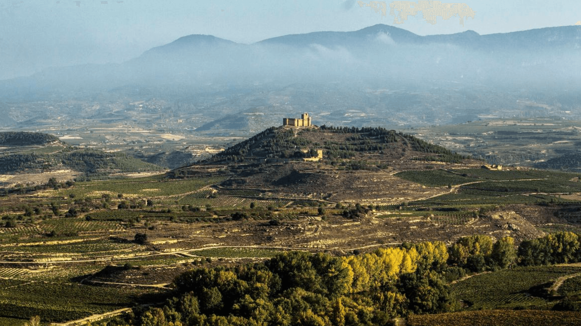Rioja Named Europe’s Top Wine Destination for 2025