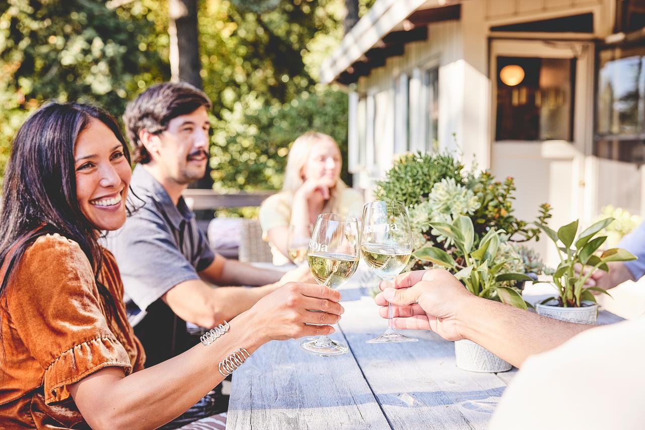 Wine Acidity Guide: Discovering the Crisp Freshness of Rioja White Wine