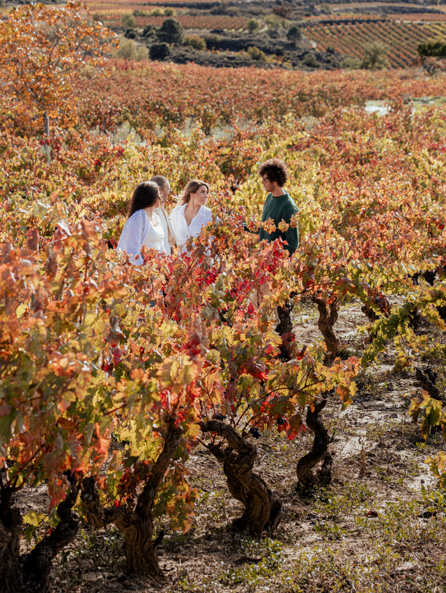 Seasonal Pairings Fall