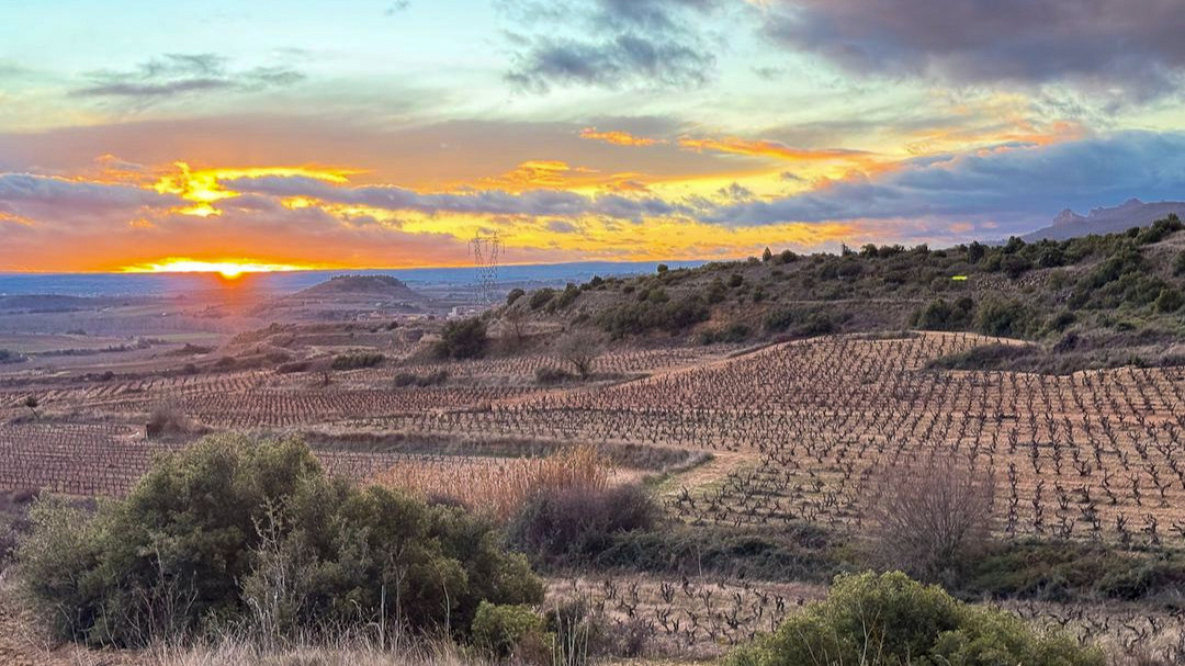 Rioja Is Having a Renaissance— and the Critics Are Taking Notice