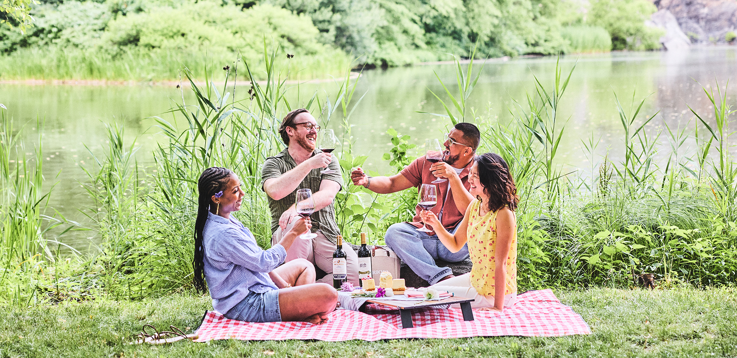 A group of friends toasts Rioja in Central Park in NYC